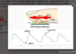 李娜携手姚迪战意甲细节曝光的简单介绍